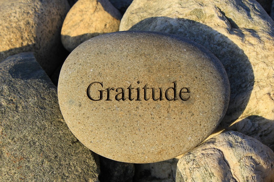 Mindful Minute of Gratitude: How and Why Noticing Gratitude Could Be Skillful for This Holiday Season!